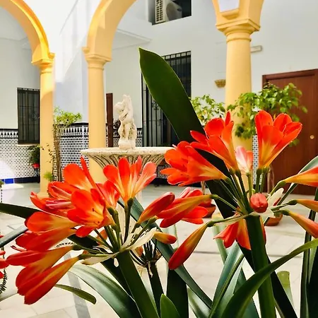 Apartment Fabuloso Loft En Centro Historico De Con Parking Bajo Reserva Tendillas Mezquita-catedral *