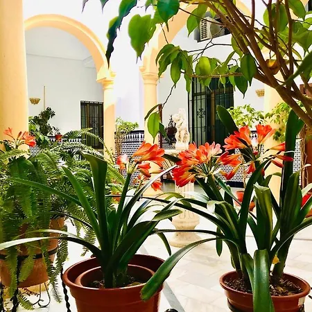 Fabuloso Loft En Centro Historico De Con Parking Bajo Reserva Tendillas Mezquita-catedral Apartment *